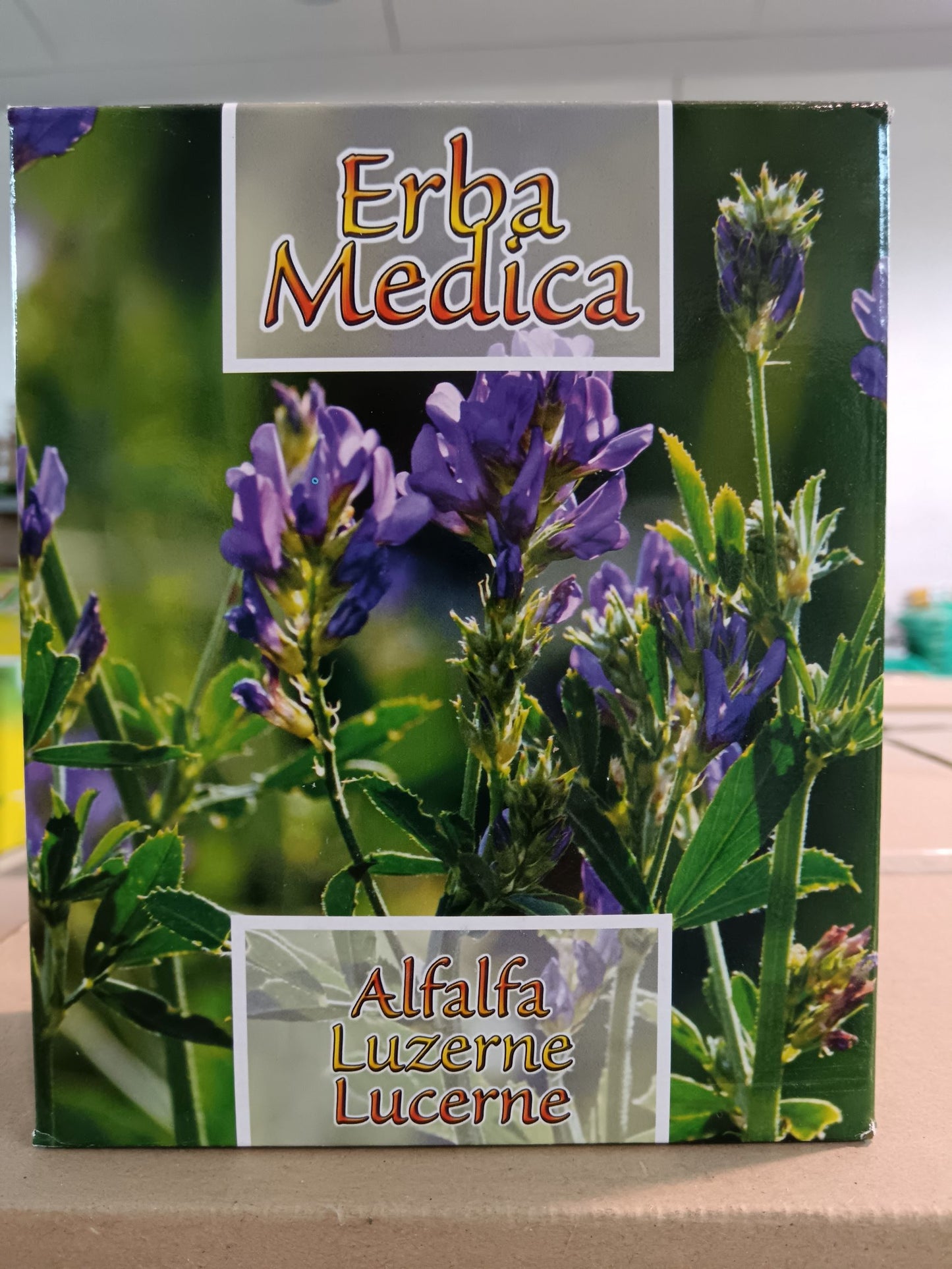 Semi di Erba Medica 1 kg