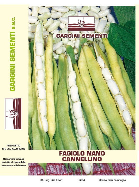 Seme di Fagiolo Cannellino 250 gr Gargini Sementi