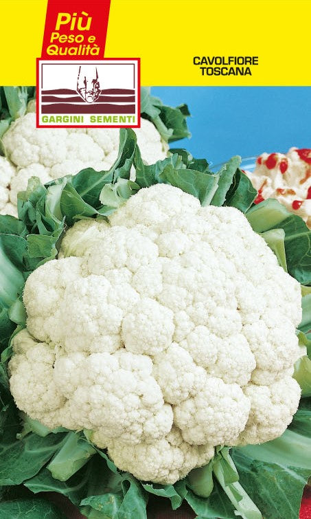 Tuscan Cauliflower Seeds Gargini Sementi