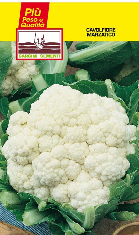 Marzatico Cauliflower Seeds Gargini Sementi