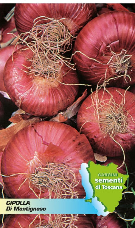 Montignoso red onion