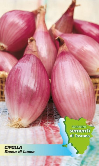 Red onion from Lucca