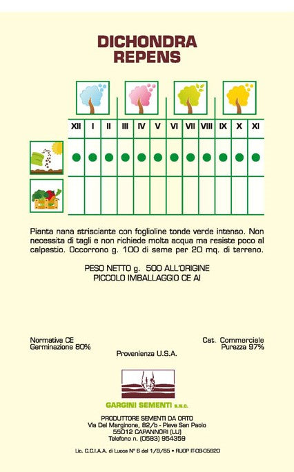 Semi di Dicondra 500gr