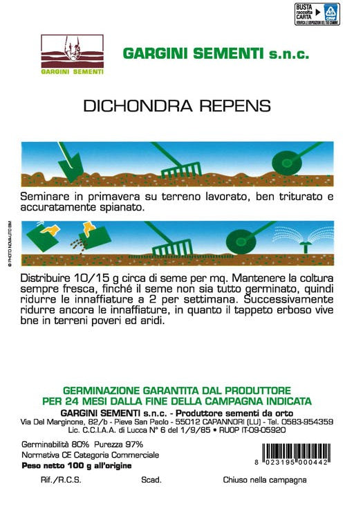 Dichondra seeds 100gr