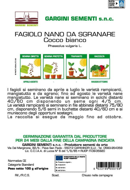 Seme di Fagiolo Cocco Bianco nano 100 gr Gargini Sementi