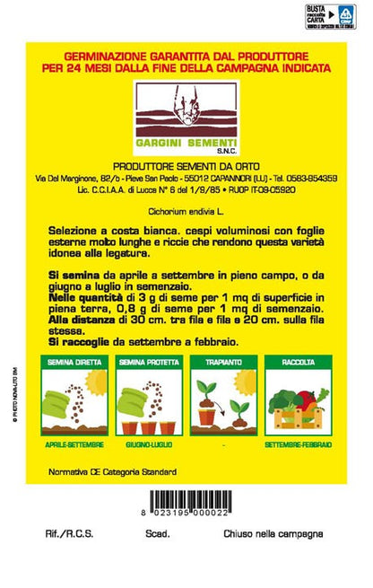 Semi di Indivia Riccia Pancalieri Gargini Sementi