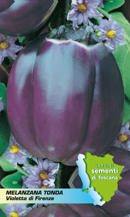 Florence Violet Eggplant Seed