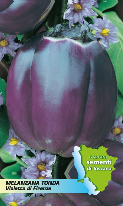 Florence Violet Eggplant Seed