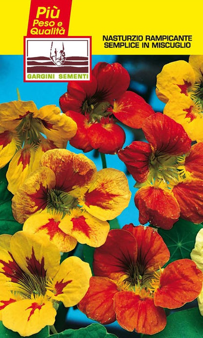 Climbing Nasturtium seed mix