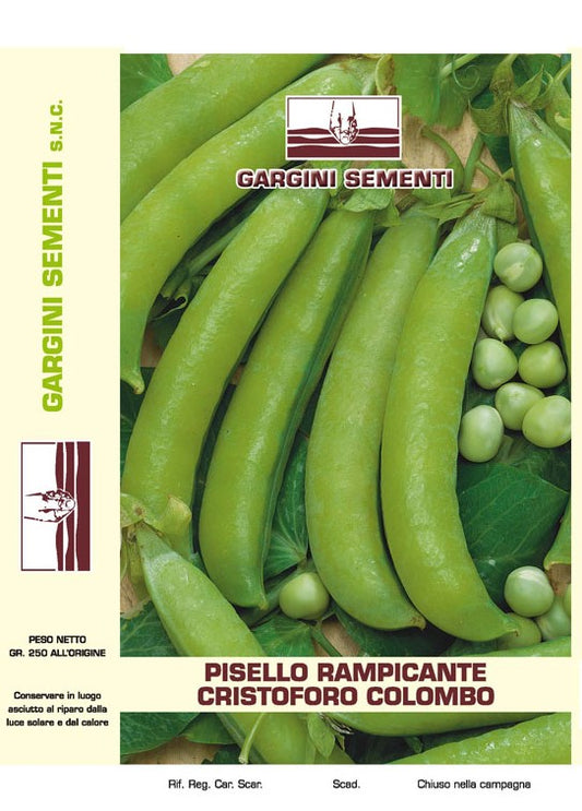 Semi di Pisello Rampicante Cristoforo Colombo Gargini Sementi 250 gr