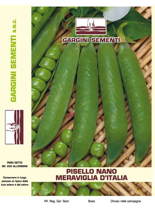 Semi di Pisello Nano Meraviglia d'Italia Gargini Sementi 250 gr