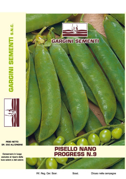 Semi di Pisello Nano Progress Gargini Sementi 250 gr