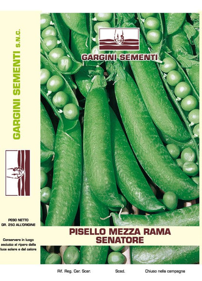 Semi di Pisello Mezza Rama Gargini Sementi 250 gr