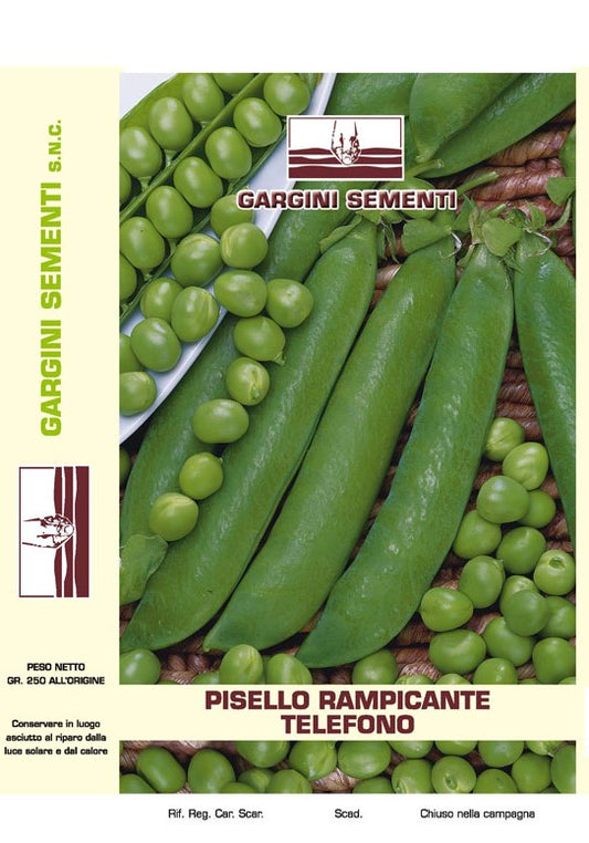 Semi di Pisello Rampicante Telefono Gargini Sementi 250 gr