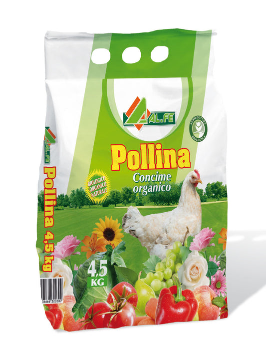 Pollina ALFE