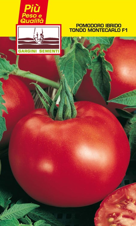 Hybrid Tomato Seeds Montecarlo Gargini Sementi