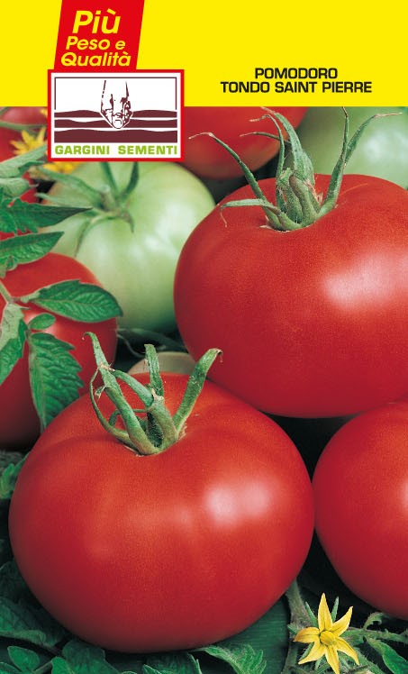 Graines de tomates rondes Gargini