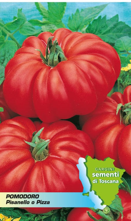 Tomate Pisanello