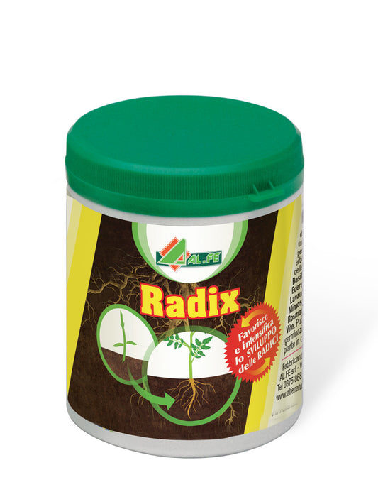 Radix Alfe