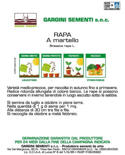 Semi di Rapa a Martello Gargini Sementi