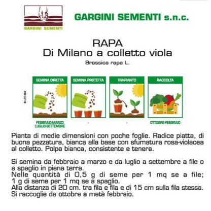 Semi di Rapa di Milano Gargini Sementi