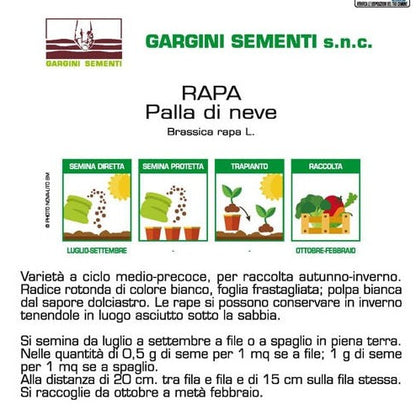 Semi di Rapa Palla di Neve Gargini Sementi