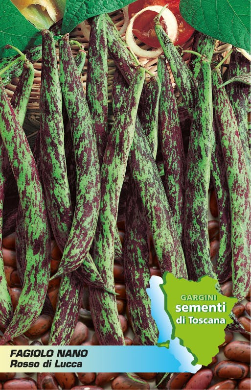 Borlotto dwarf bean, Rosso di Lucca selection 100 gr