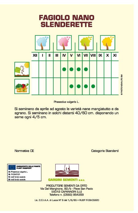 Semi di Fagiolino nano Slenderette Gargini Sementi 250gr