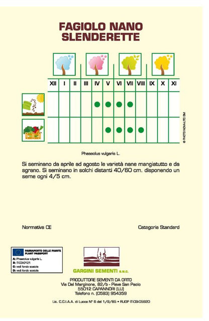 Semi di Fagiolino nano Slenderette Gargini Sementi 250gr