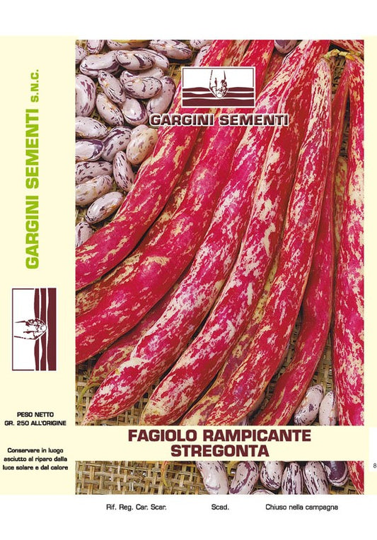 Semi di Fagiolo Stregonta rampicante 250 gr Gargini Sementi