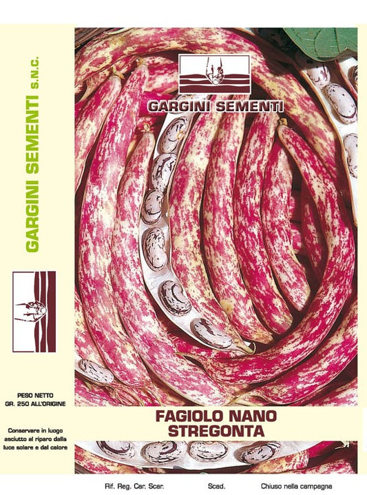 Semi di Fagiolo Stregonta nano 250 gr Gargini Sementi