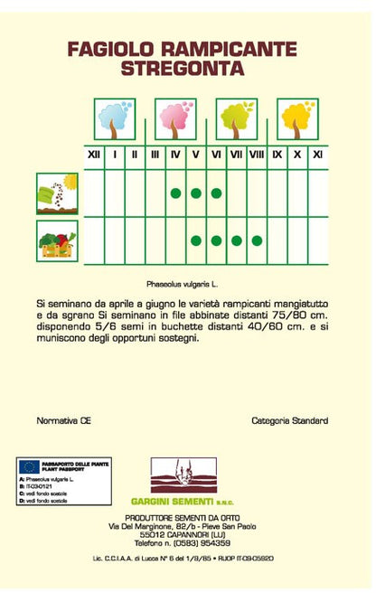 Semi di Fagiolo Stregonta rampicante 250 gr Gargini Sementi