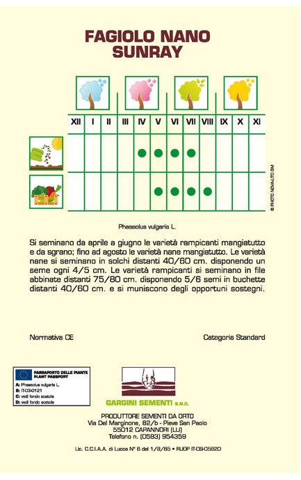 Semi di Fagiolino nano Sunray Gargini Sementi 250gr