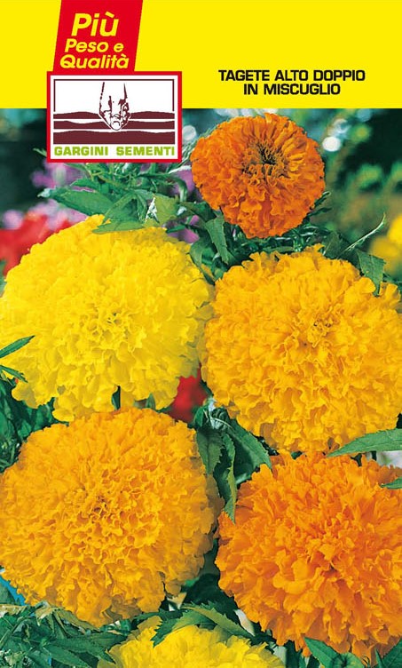 Marigold tall double seed mix