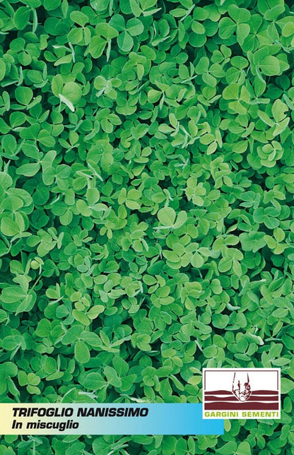 Dwarf clover seeds Gargini Sementi 100 gr