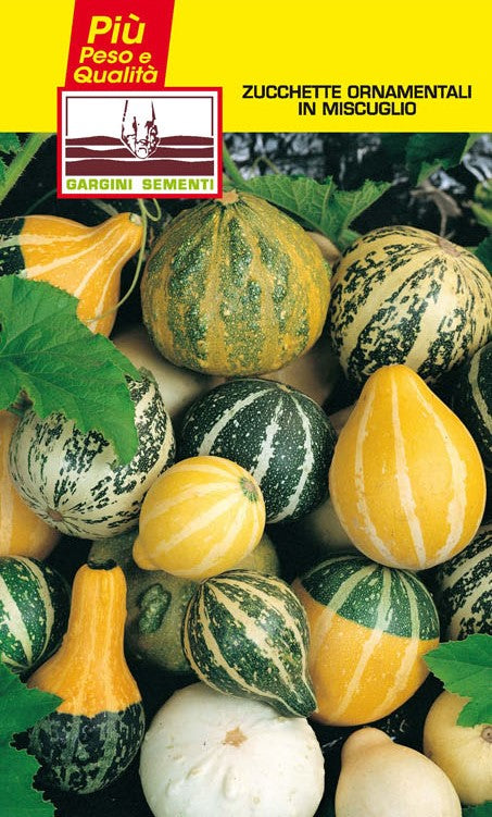 Climbing Ornamental Pumpkin Seeds in mixture