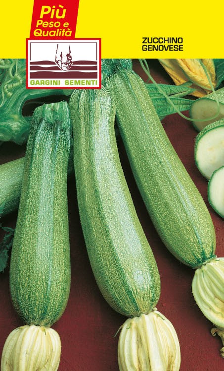 Semi di Zucchino Genovese Gargini Sementi