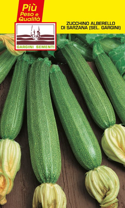 Semi di Zucchino Alberello di Sarzana Gargini Sementi